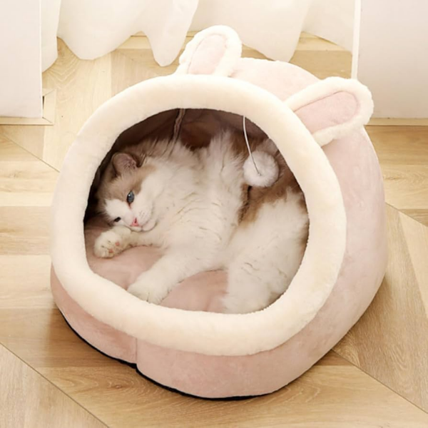 Pet Bed