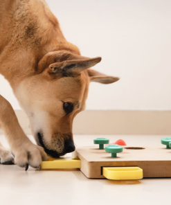 Pet Puzzle Toy