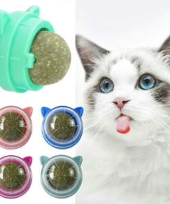 Catnip Toy